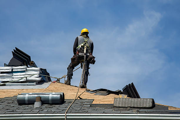 Professional Roof Replacement technician working in Darby, MT